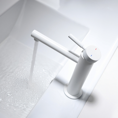 Opbouw wastafelkraan Taylor - Mat wit